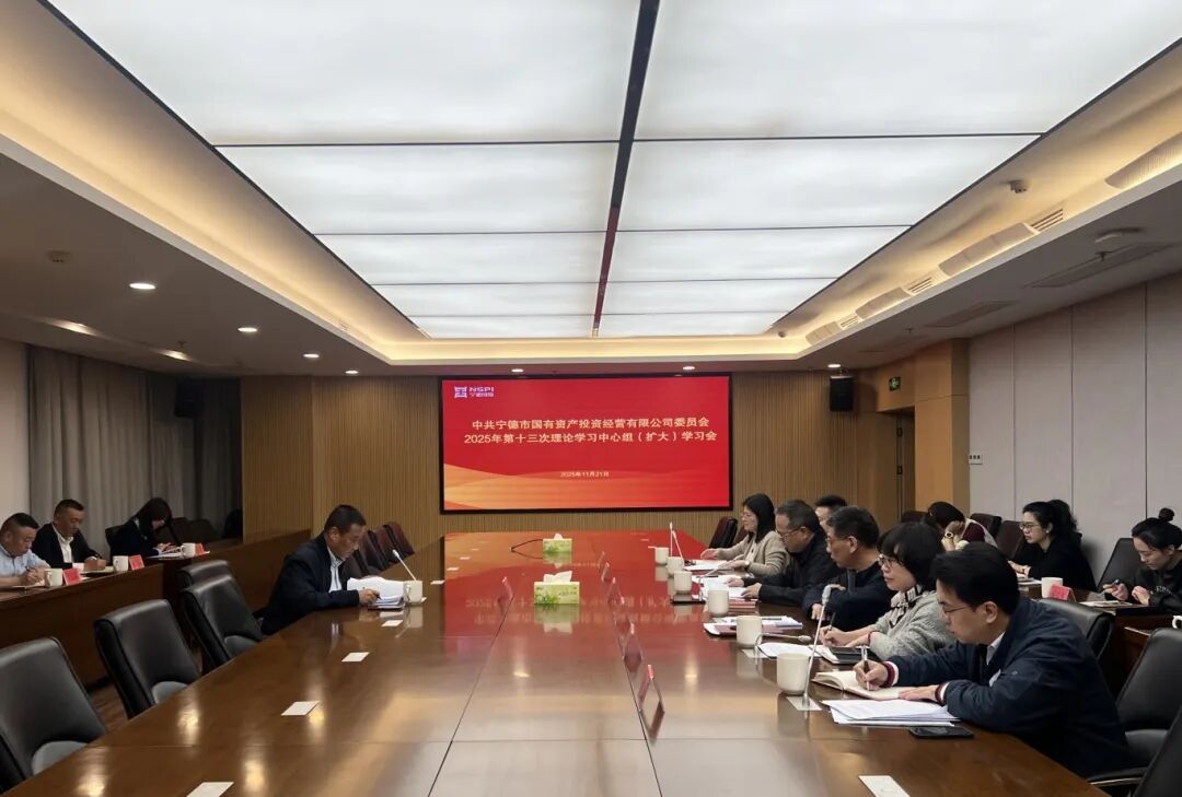 【党的建设】市国投公司召开2025年第十三次党委理论学习中心组(扩大)学习会