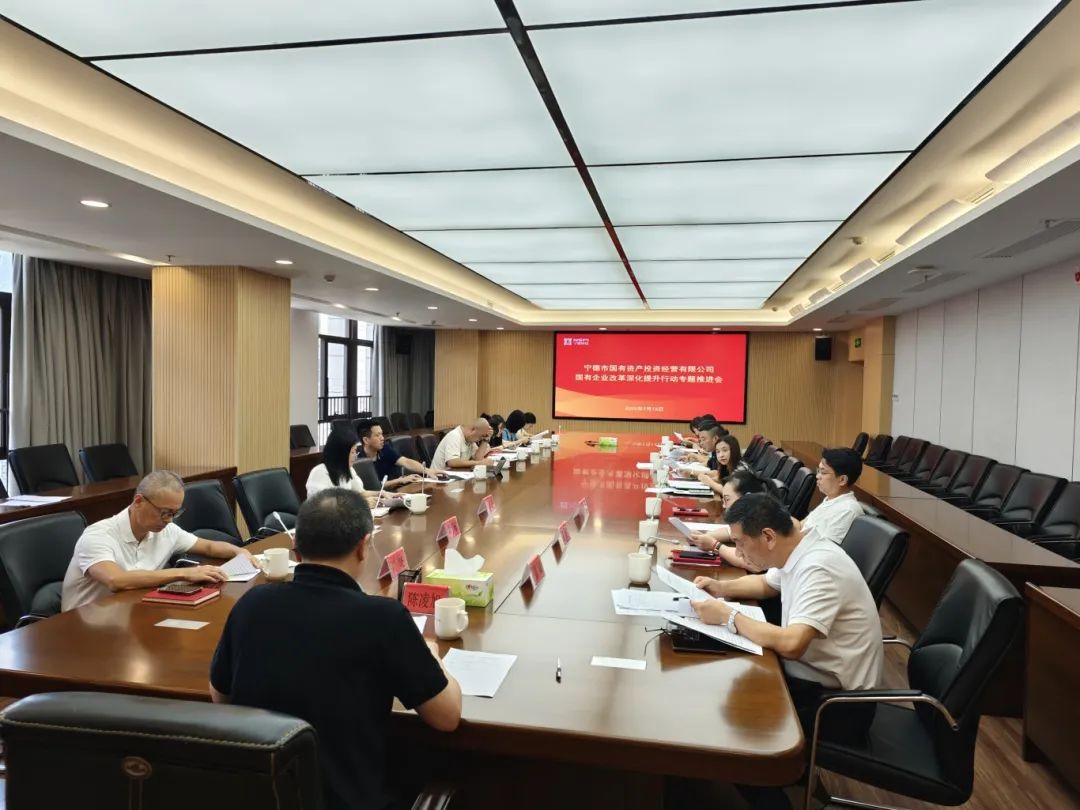 【国投资讯】市国投公司召开国企改革深化提升行动专题推进会