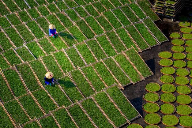 【深化拓展“三争”行动】宁德市国投公司：聚力深耕 绘就民生新答卷