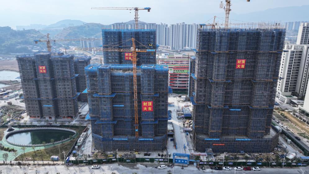 【牢记嘱托 谱写篇章】金荷映月小区项目主体结构全面封顶