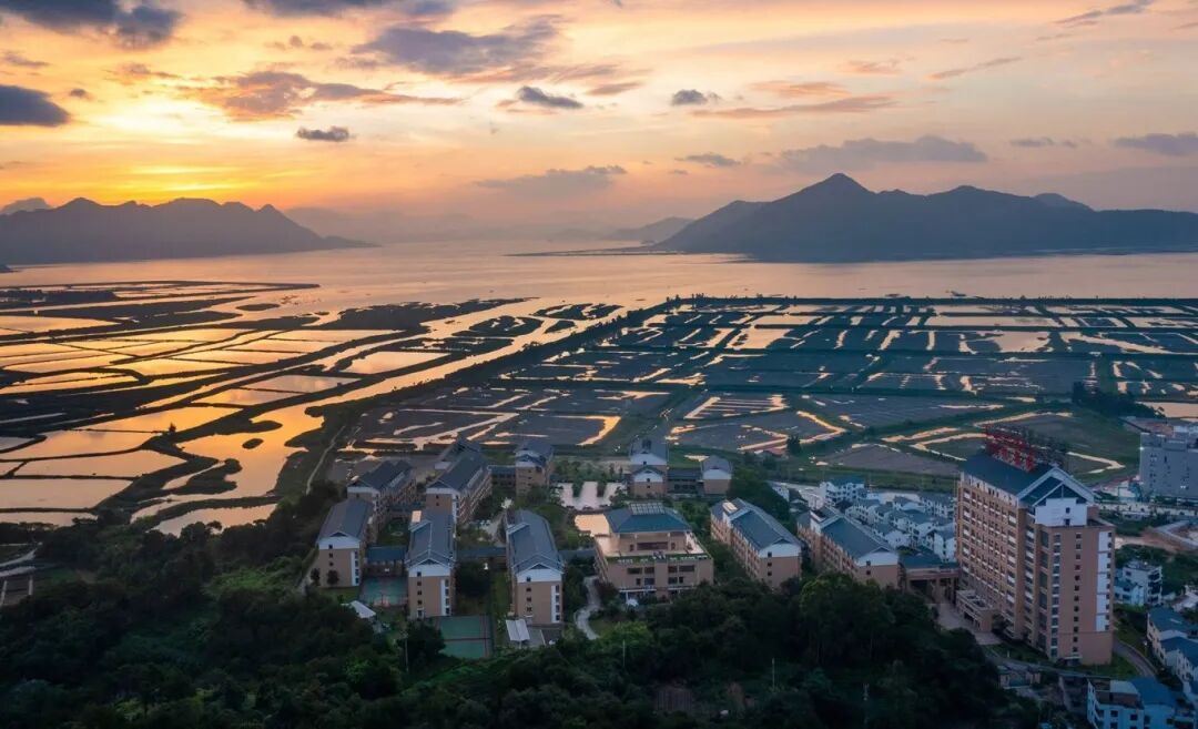 【国投喜报】宁德市国投集团下属企业金泰公司护理管家部再次获评“宁德市工人先锋号”