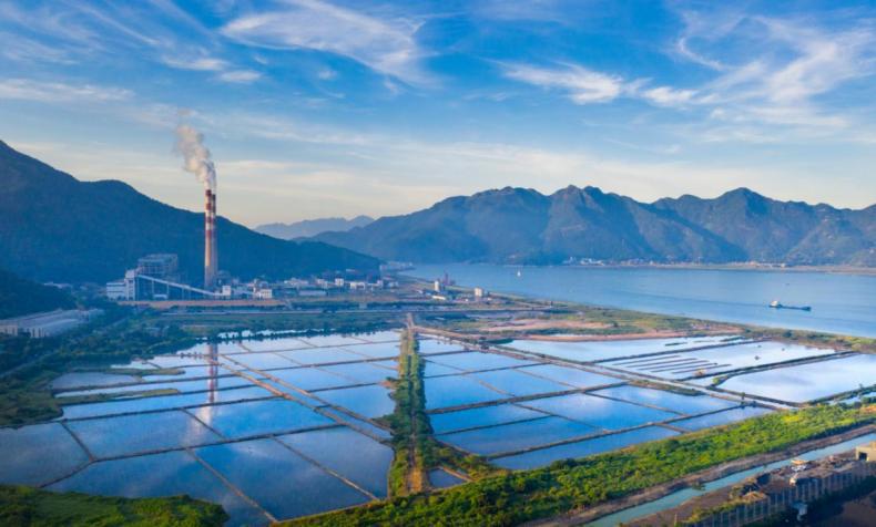 【开局起势 实绩检验】29载逐梦山海！闽东能源以“风光水火”绘就绿色发展新图景